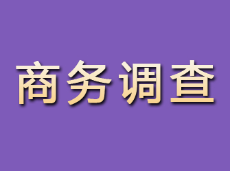 鲤城商务调查